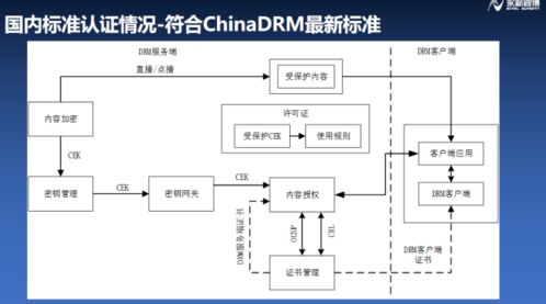 浦江论道 永新视博李自东谈符合融媒体安全的版权保护系统，构建IPTV行业健康生态